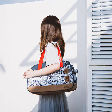 Pet handbag